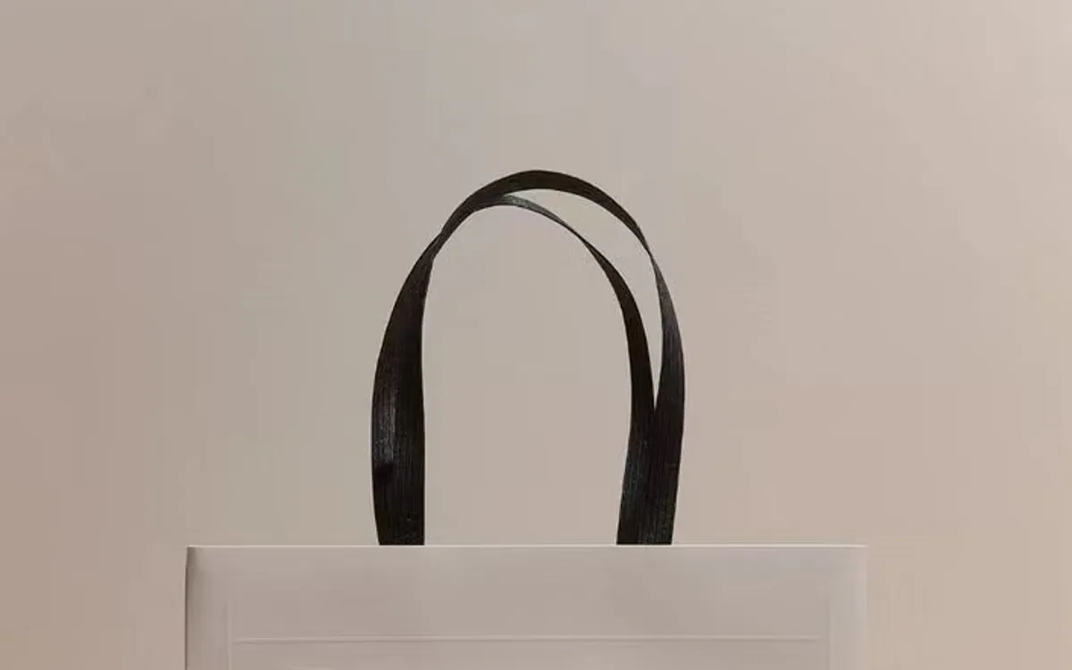 Custom Paper Bags packaging sample